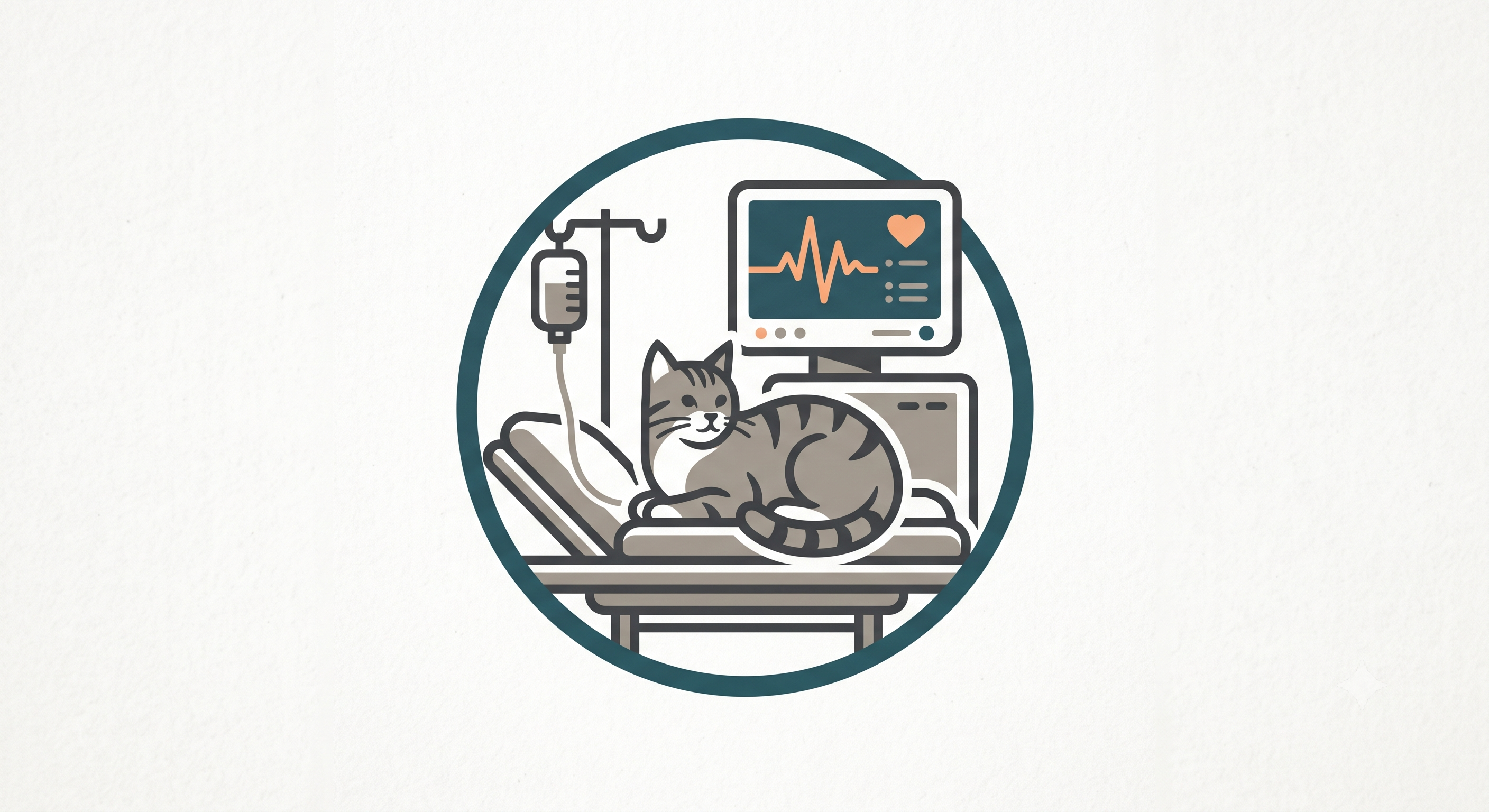 catshouse.icu